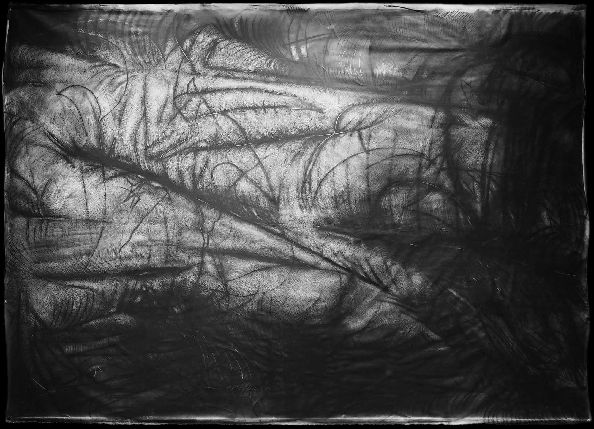 A black and white charcoal drawing of a root-like object with visible fine lines and volume.