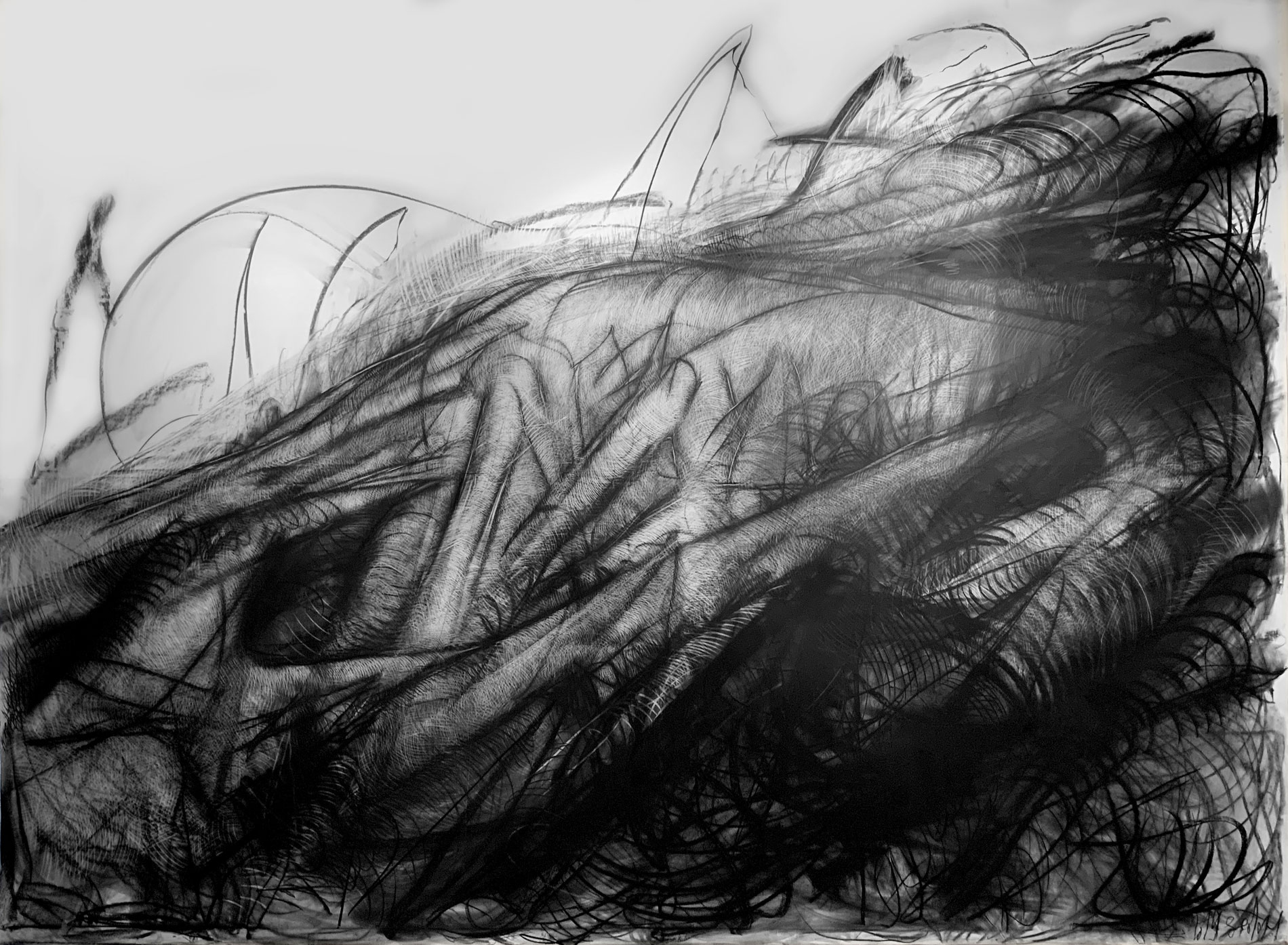 A black and white charcoal drawing of a root-like wavy object with visible fine lines and chaotic edges which gradually end in a white empty space in the top left corner.